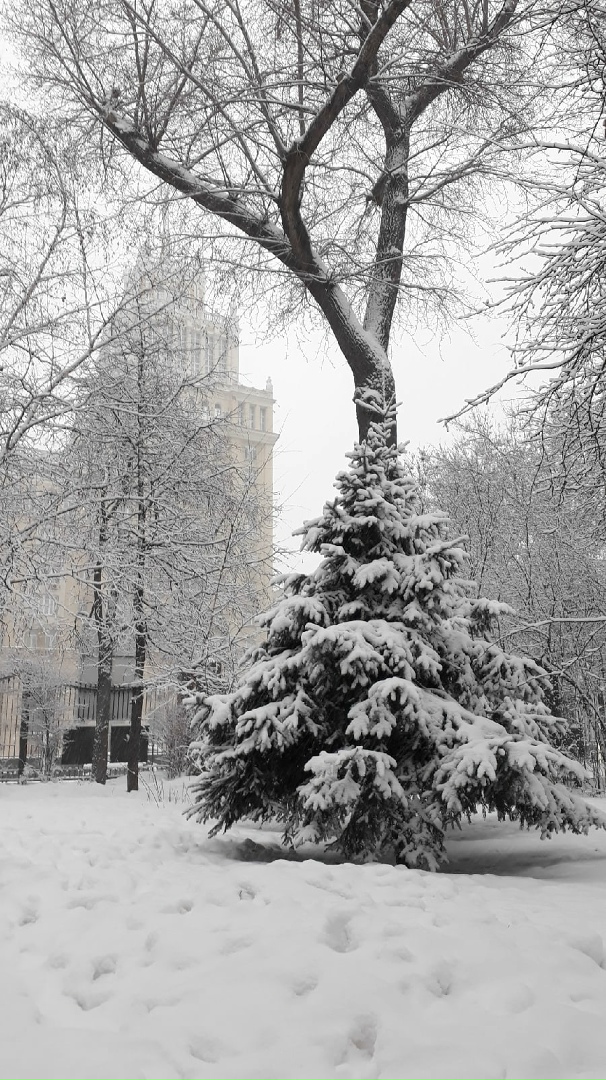 Саша Тряпичников | Курган