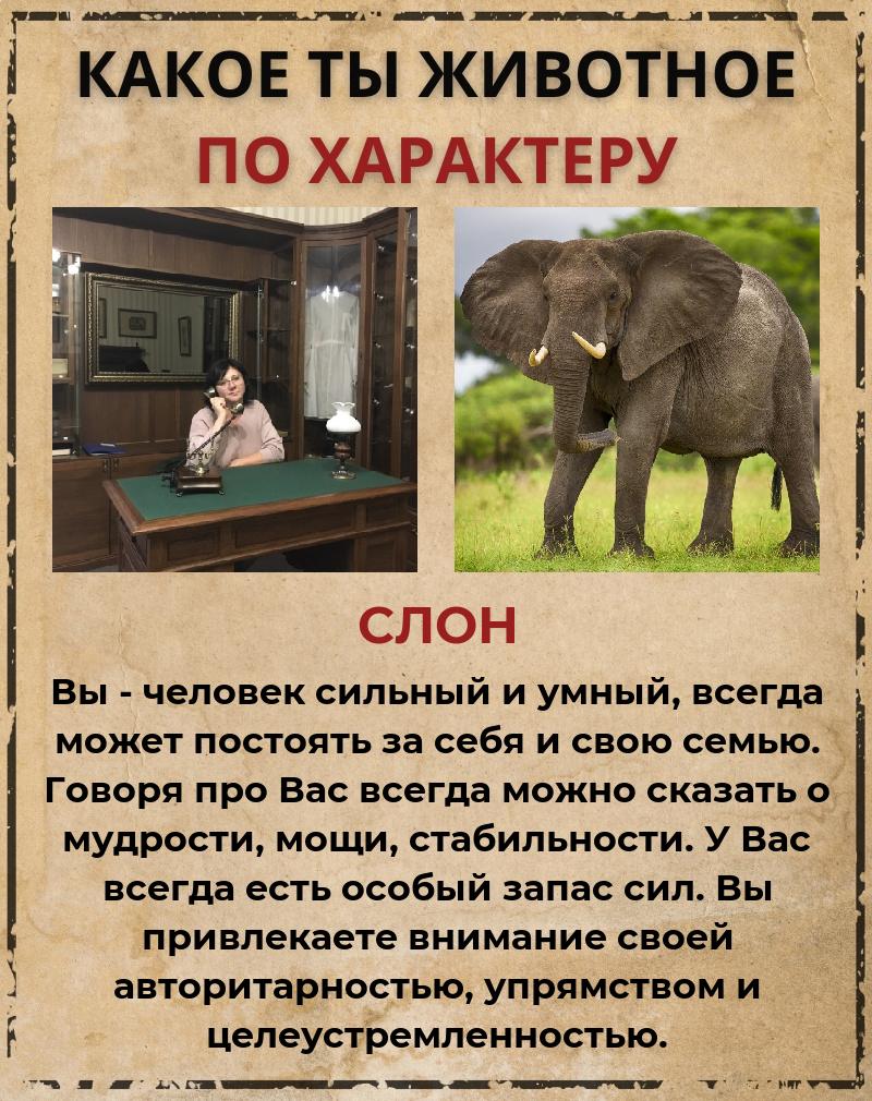 Наталья Трифонова | Луховицы