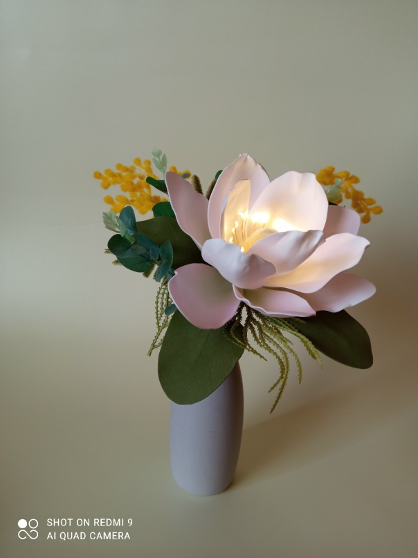 Светлана Кушнир | Донецк