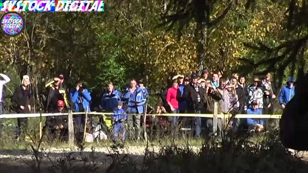 Jump into Saaremaa rally 2013 by SVStock