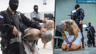 Las Pandillas Suplican Piedad: As Ser Su Vida En La Megacrcel De El Salvador - Testigo Directo