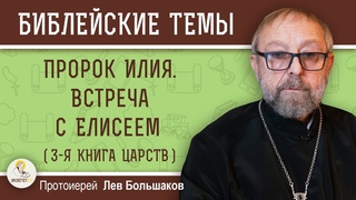 ПРОРОК ИЛИЯ.  ВСТРЕЧА С ЕЛИСЕЕМ (3-я Книга Царств).  Протоиерей Лев Большаков