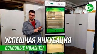 Успешная инкубация. Основные моменты.