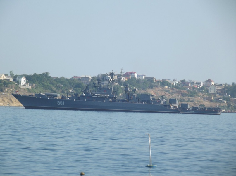 Роман Зайцев | Курск