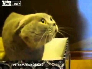Дьявол во плоти))))))))