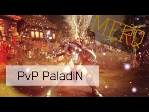 Never Winter Pv P Paladin 8