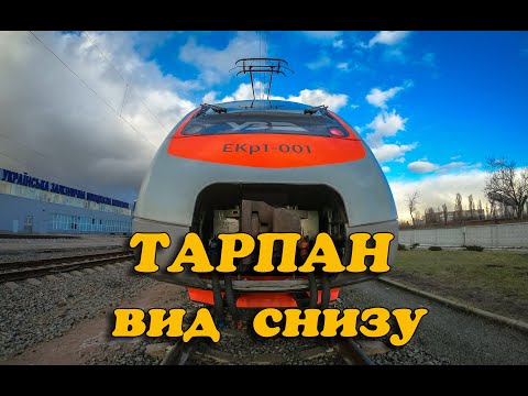 Тарпан ЭКР 1 вид снизу, , Train bottom